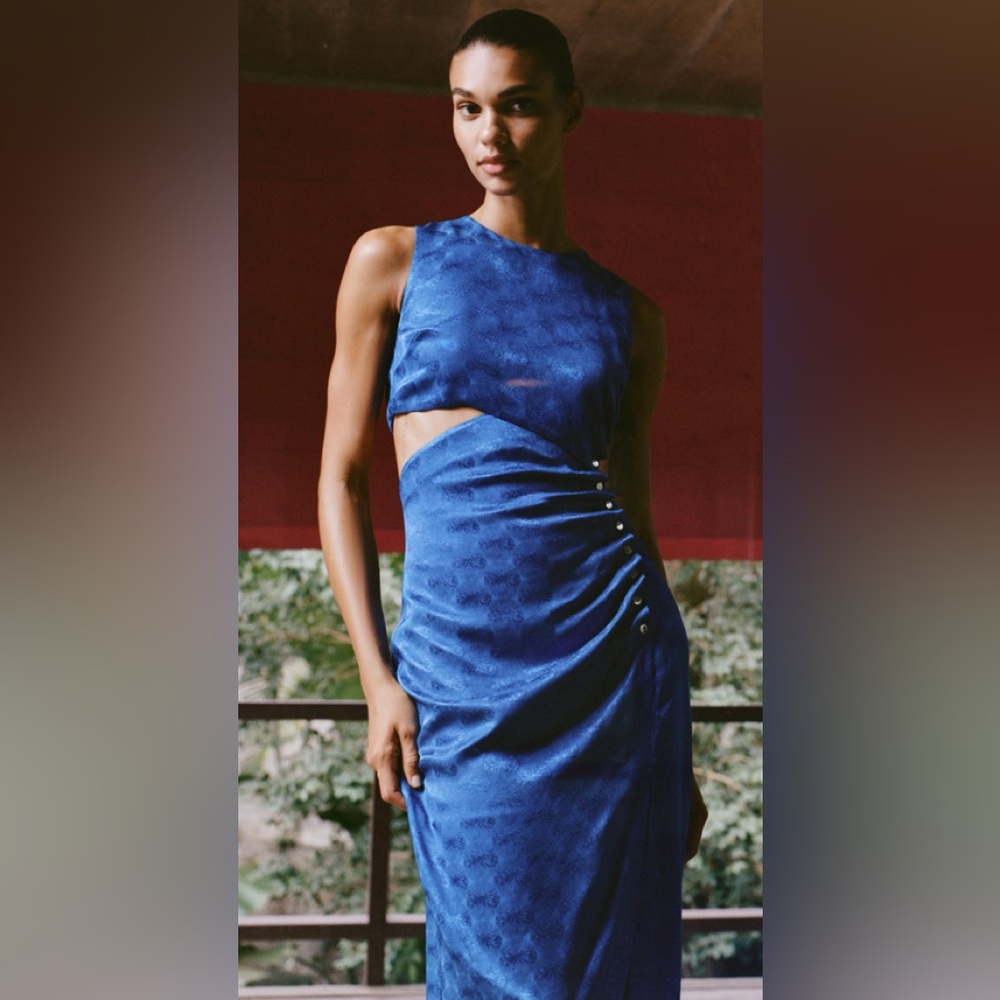 Zara Midi Dress